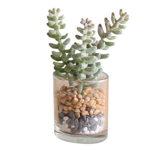 SPICE XpCX SPICE OF LIFE tFCNO[ ~jKX|bg D TADY7160D | K[f A tFCNO[ t   |bg 킢炵 C~e[VO[ O[ C~e[V f