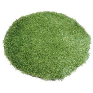 SPICE XpCX SPICE OF LIFE tFCNOX}bg Eh LTCY SGDS2033 | CeA }bg tFCN Ő}bg GgX  oRj[  fBXvC