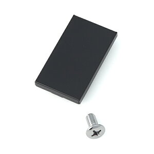 SUGATSUNE �X�K�c�l�H�� G100�p ���ʃv���[�g G100-006�^ �u���b�N 160-083-232 G100-006BTS | LAMP �����v ���z���� �Ƌ���� ���� ���i �p�[�c ���� ���� �X���C�h���� ���� ���ʃv���[�g �K���X���p �K���X