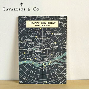 Jo[j O[eBOJ[h V o[Xf[J[h aJ[h happy birthday ܂J[h bZ[WJ[h t J@[j  CAVALLINIy [֑Ήz