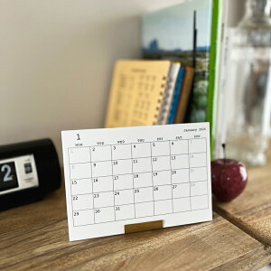 PICUS 2026 J_[ NbvX^hfXNgbvJ_[ BRASS Solid ^J uX Vv  fXN y[֑Ήz