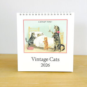 Jo[j 2026N J_[  VintageCats L Be[W Lbg  fXN CAVALLINI lRy [ z