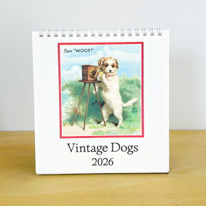 Jo[j 2026N J_[  VintageDogs Be[W hbO  CAVALLINI y [ z