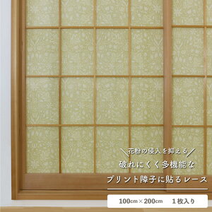 yqɓ\郌[Xzy1zEBAEX jȂq ՔM ԕLb` fM ̌ ʋC ƊȒP {