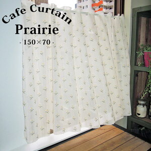 JtFJ[e ԕ yPrairie vz 150cm×70cm䁄