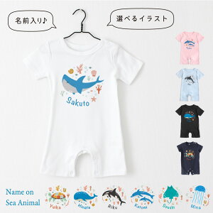 oYj  p[X V[Aj}01 C̓CXg T NW CJ NQ E~K V` GC xr[ 70cm 80cm O a n[to[Xf[ j v[g Mt