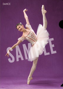 oG G oG_T[ NAt@C A[iERWJ uRbyAv Mtg A4