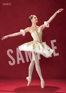 oG G oG_T[ NAt@C heEWx[ ue[}ƃ@G[Vv Mtg A4