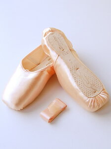 y\̔8{ȍ~\zyʉiz oGpi gEV[Y repetto ybg Jb^(VNM)