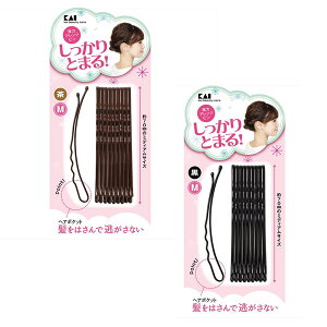 oG l Vj cqp wAs ̓AWsM (10{)