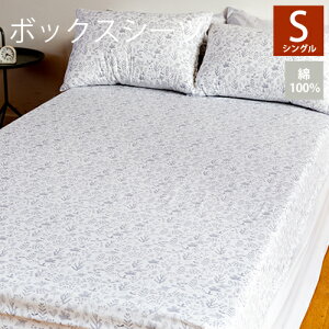 _OboC^y݌ɌSALE!z{bNXV[c VOTCY NATURE - leaf^fXC[gIWi Dailylike ̓Mtg  킢 100 BOXV[c zcJo[ xbhJo[ }bg