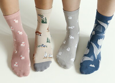 楽天市場 クルーソックス Pattern Point Socks デイリーライク Dailylike メール便対応 大人かわいい おしゃれ 靴下 くつ下 くつした レディース ブランド キツネ アルパカ 犬 ビションフリーゼ チューリップ グッズ デザイン雑貨と文具 De Suite