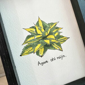 agave ܗ_ /AKx ܗ_ painting / IWi fUCyzyzz yϗtAzyAzyCeAz