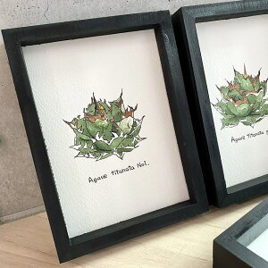 agave titanota No1/AKx `^m^ io[ painting / IWi fUCyzyzz yϗtAzyAzyCeAz