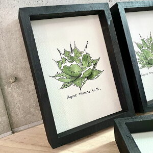 agave titanota fo76 painting/AKx `^m^ fo76 IWi fUCy3/ʐ^摜̓fUC\[X/iɂ͕t܂zyzyzz yϗtAzyAzyCeAz