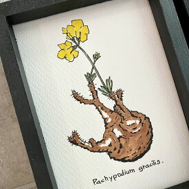pachypodium grachilis painting / パキポディウム グラキリス オリジナル デザイン 植物画 デザイン画【原画】【額入り】 【観葉植物】【多肉植物】【インテリア】【ハンドメイド】【1点物】