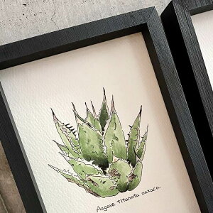 agave titanota oaxaca painting / AKx `^m^ IAnJ IWi fUCyzyzz yϗtAzyAzyCeAz