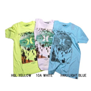 ��SALE��HURLEY �n�[���[ MENS �����Y�@ BEACH PARTY PREMIUM TEE