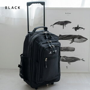 2WAYobO s rWlXobO o e L[obO }`g 2փLX^[ hЃbN bN L[t LveX^bO captain stag jp y Y fB[