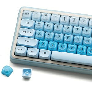 PBT �L�[�L���b�v Womier 132�L�[ �W�F���[�L�[�L���b�v �����J�X�^�� �N���[�~�[�L�[�L���b�v MOA �v���t�@�C�� 61/68/84/87/98/100 Cherry Gateron MX ���J�j�J���L�[�{�[�h�p