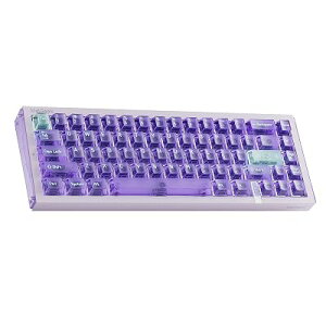 MelGeek REAL67 ���C�X�C�b�`�Q�[�~���O�L�[�{�[�h 65% �L�� ���s�b�h�g���K�[ �z�b�g�X���b�v RGB US�z�� (�����p�[�v��)