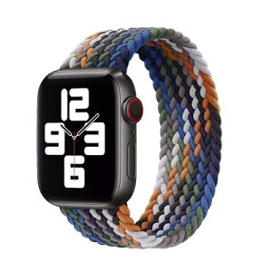 �R���p�`�u�� apple watch �o���h �A�b�v���E�H�b�`�p�o���h ���T�C�N������ �\�����[�v iWatch Ultra3/Ultra/SE/10/9/8/7/6/5/4/3/2/1�Ή� apple watch 38mm/40mm/41mm/(Series10)42mm (Series 3 2 1)42mm/44mm/45mm/46mm/49mm