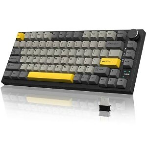 ATTACK SHARK x AJAZZ AK820 PRO 75% �Q�[�~���O�L�[�{�[�h 3���[�h TFT�X�N���[�� RGB ���D��