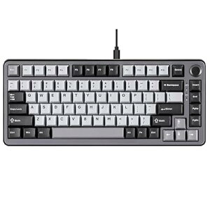 YUNZII RT75 ���s�b�h�g���K�[ �L�[�{�[�h ���J�j�J�� TKL �Q�[�~���O ���C�X�C�b�` RGB �L�� USB �R���p�N�g 75%�z��m�u�t��PBT �L�[�L���b�v ���߉\�쓮 (��, ���C�X�C�b�`)