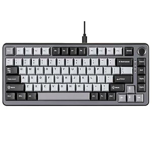 YUNZII RT75 ���s�b�h�g���K�[ �L�[�{�[�h ���J�j�J�� TKL �Q�[�~���O ���C�X�C�b�` RGB �L�� USB �R���p�N�g 75%�z��m�u�t��PBT �L�[�L���b�v ���߉\�쓮 (��, Gateron�V���L�[�v��)