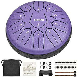 �X���b�g�h���� �X�`�[���^���O�h���� LEKATO �����h���� 11�� 6�C���` �Ŋy�� �}���b�g ���[�o�b�O�t�� �ґz ���K �T (�p�[�v��)