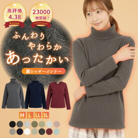 あったかインナー 裏シャギー 裏起毛 長袖 インナー Tシャツ レディース エコ暖 トップス 冬 防寒 ロンT ロングtシャツ tシャツ 大きいサイズ 大きめ 重ね着 部屋着 リラックス 普段使い 人気 クルーネック ハイネック タートルネック M L LL 2L 3L 送料無料
