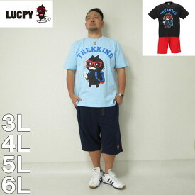 楽天市場 短パン Tシャツ カットソー トップス メンズファッションの通販