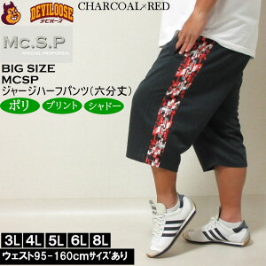 傫TCY Y Mc.S.P UCNvgؑ W[WZpci[J[jGV[GXs[ 3L 4L 5L 6L 8L W[W n[tpc 傫 TCY rbOTCY LOTCY u