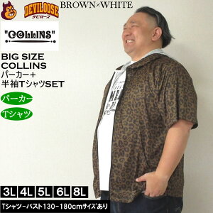 傫TCY Y Zbg̔ COLLINS bVqE@tWbvp[J[ + TVcZbgi[J[jRY 3L 4L 5L 6L 8L 傫 TCY LOTCY rbOTCY f