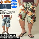 大きいサイズ メンズ 水着 OCEAN PACIFIC ストレッチ サーフパンツ（メーカー取寄）オーシャンパシフィック 3L 4L 5L 6L 8L デビルーズ 大きい サイズ キングサイズ ビッグサイズ 海パン 海外旅行 サーフ プール 海水浴 温泉 ジム 海水パンツ 大人