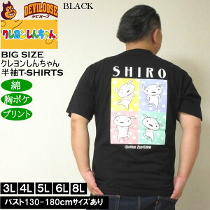 傫TCY Y  Rbg N񂿂 V |Pbgt TVci[J[j 3L 4L 5L 6L 8L 傫 TCY LOTCY rbOTCY fr[Y Ci[  u