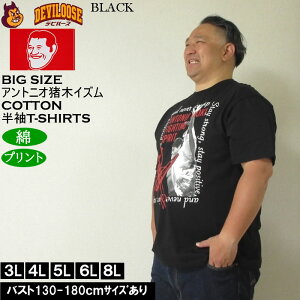 傫TCY Y INOKI ISM Rbg vg AgjI  TVci[J[j3L 4L 5L 6L 8L 傫 TCY LOTCY rbOTCY fr[Y Ci[  uh 