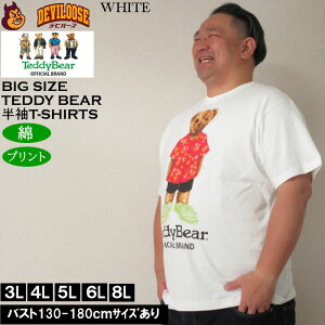 傫TCY Y Teddy Bear V vg  TVc  Rbgi[J[jefBxA 3L 4L 5L 6L 8L 傫 TCY LOTCY rbOTCY fr[Y Ci[  u