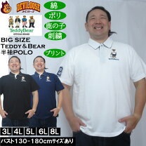楽天市場】ポロベアー 大きいサイズの通販