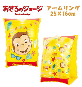 y[֑z̃W[W A[O 25cm×16cm qp LbY LN^[ Aj XC~O XCObY v[ V C Mtg v[g(22643 om120024)