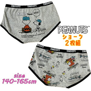 y[OKzPEANUTS SNOOPY Xk[s[ XN[ [CY2PV[c 2g obNvg  Ci[  A_[EGA pc WjA eB[ Mtg (521SN6532 n108025)