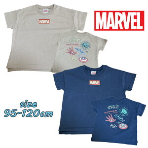 y[֑z}[x ACRvg(nN/ACA}/LveAJ) TVc gbvX gh[ LN^[ LbY ǂ j Mtg a Vw  