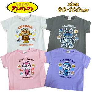 y[OKzAp} 4L TKhJ TVc V LN^[ xr[ q s  Mtg a j v[g (SA3074 na200025)