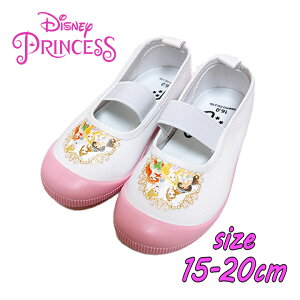 Disney fBYj[ vZX W 㗚 oGV[Y p C ΂ LbYV[Y    w j a v[g NX}X(216105418 140025)