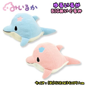 yz݂邩 邢邩V[Y AICJ/sNCJ BIGʂ 51cm ӂӂ 傫   ql LbY G dolphin ItBX CeA NX}X 蕨 