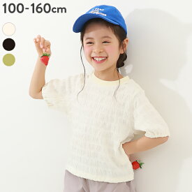 ぽこぽこ半袖Tシャツ 子供服 キッズ 女の子 トップス 半袖Tシャツ Tシャツ