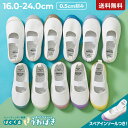 【LIMITED SALE 最大12%OFF】【送料無料】 ゆったりフィット 上履き(上靴) インソール2枚付き 子供服 キッズ 幅広 上…