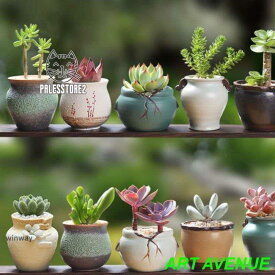 植木鉢 多肉植物鉢 プランター 陶器 おしゃれな植木鉢 鉢 かわいい インテリア 多肉植物 鉢底穴有り 軽量 部屋 オフィス 室内 飾り