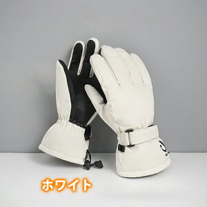 _X[p[SALE 58%OFF^XL[ O[u fB[X Y Xm[O[u XL[ Xm[{[h Xm{ O[u ~g  ܖ{woR oCN ] ~ Sh h h  g