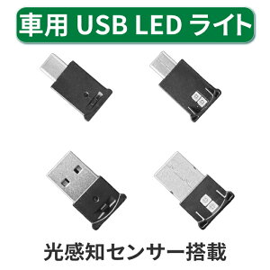 ǔ ԗpLEDCg USB LEDCg USB C ԗp RpNg 8J[ؑ C~l[V usb led Cg v ԓƖ ZT[@ȒPt ȃGlM[ usb type c usb c USB-A ԓ ⏕Ɩ
